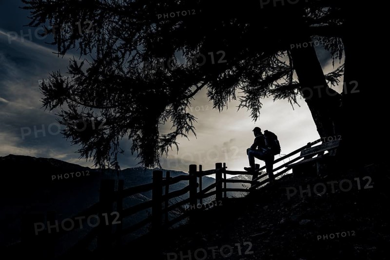 Old fence with mountaineer and large tree as silhouette at sunset