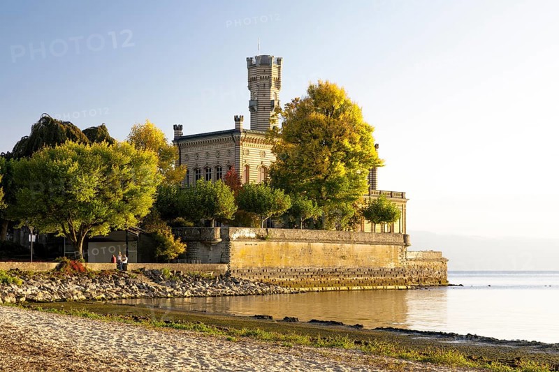 Autumn trees on the shore in the sunshine with Montfort Castle