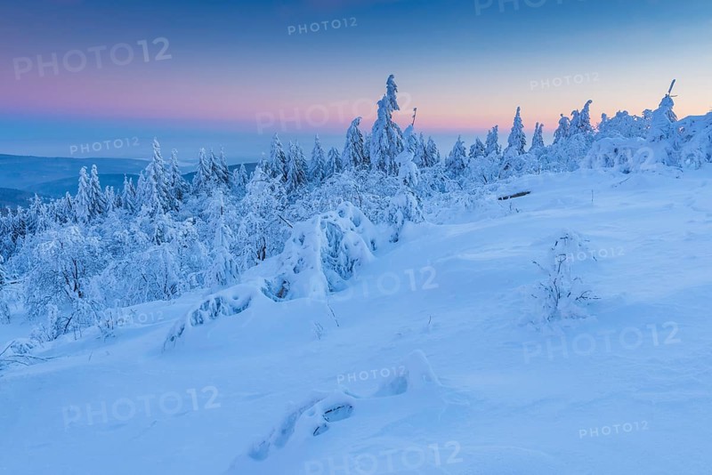 Snow Covered Winter Landscape at Dawn. Grosser Feldberg