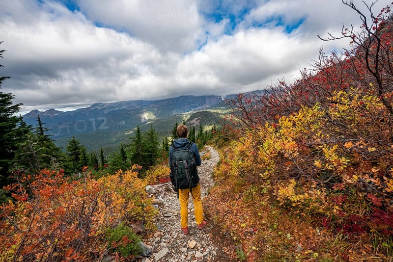 Hikers on a trail through autumn coloured bushes