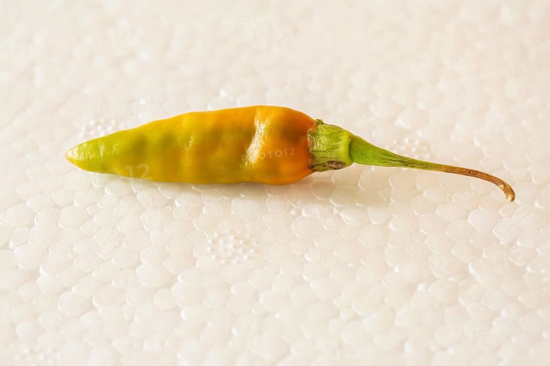 Fresh ripe small chili