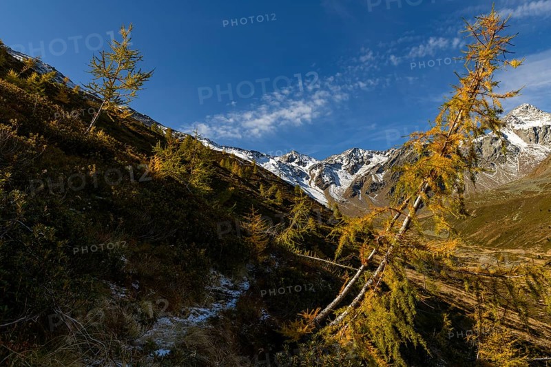 Autumn valley with stream and larches