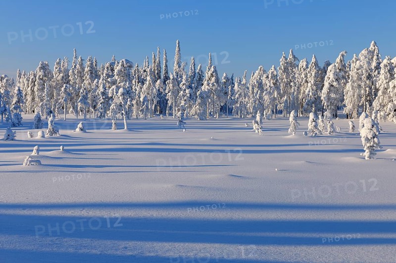 Snow covered landscape in winter