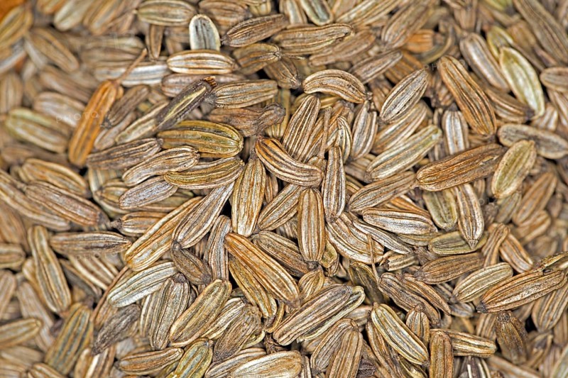 Close-up of fennel seeds