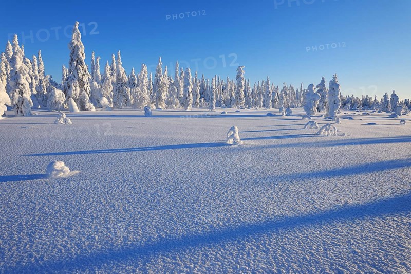 Snow covered winter landscape
