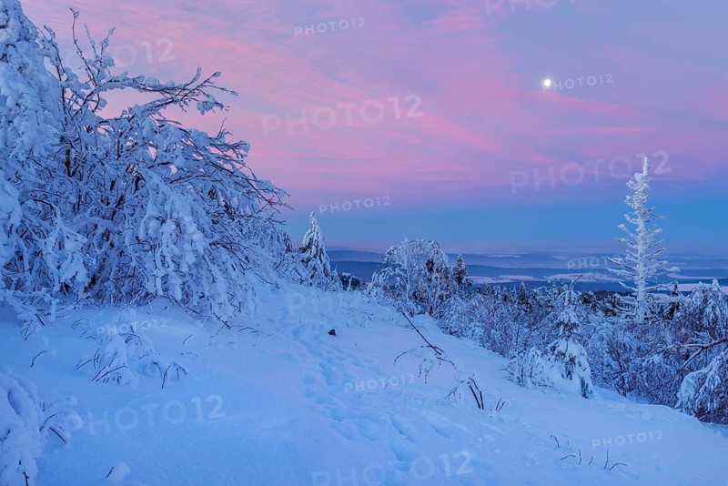 Snow Covered Winter Landscape at Dawn. Grosser Feldberg