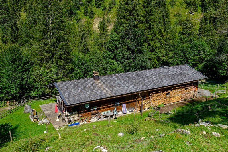 Alpine pasture near Bayrischzell