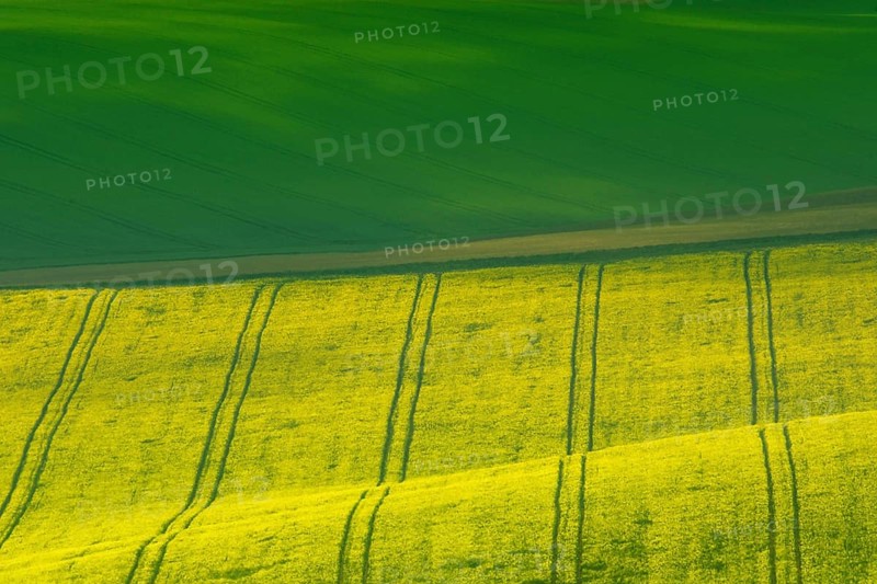 Beautiful and colorful abstract landscape