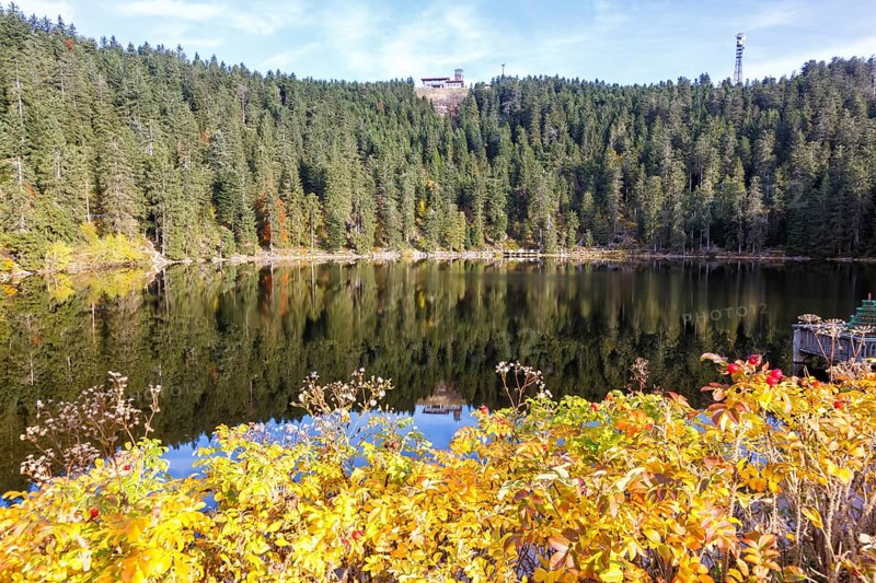 Mummelsee and mountain Hornisgrinde in Black Forest landscape nature in autumn in Seebach