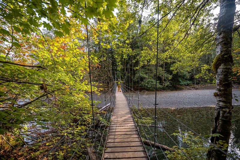 Hikers on suspension bridge in autumnal forest