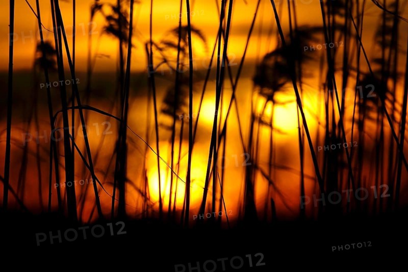 Winter evening