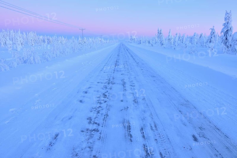 Road in winter