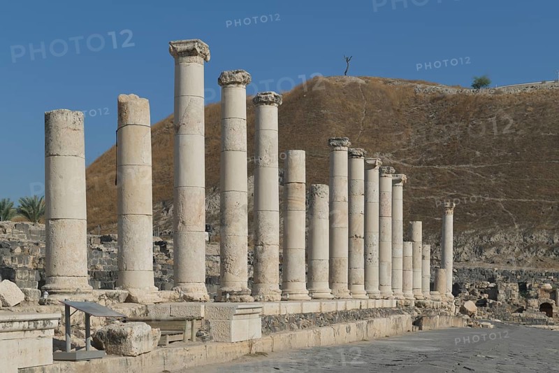 Palladius Street