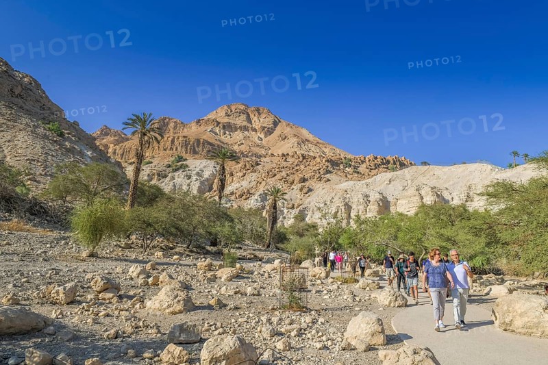 Hikers in Wadi David