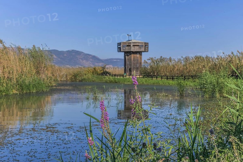 Observation tower