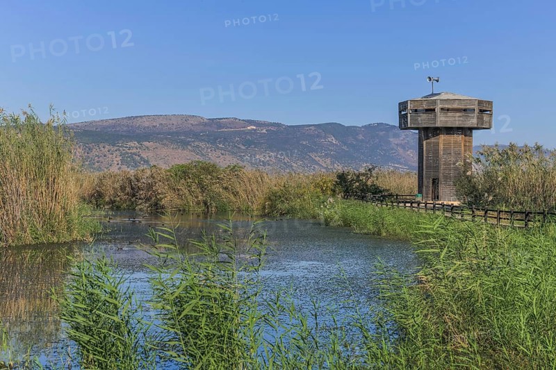Observation tower