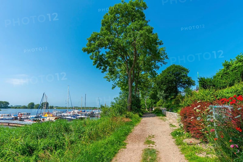 Sport boat harbour on the Treene