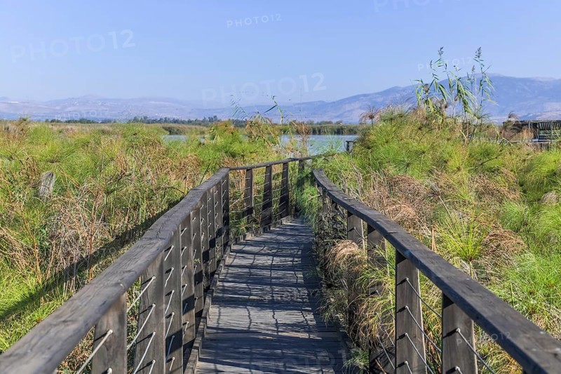 Boardwalks for bird watching