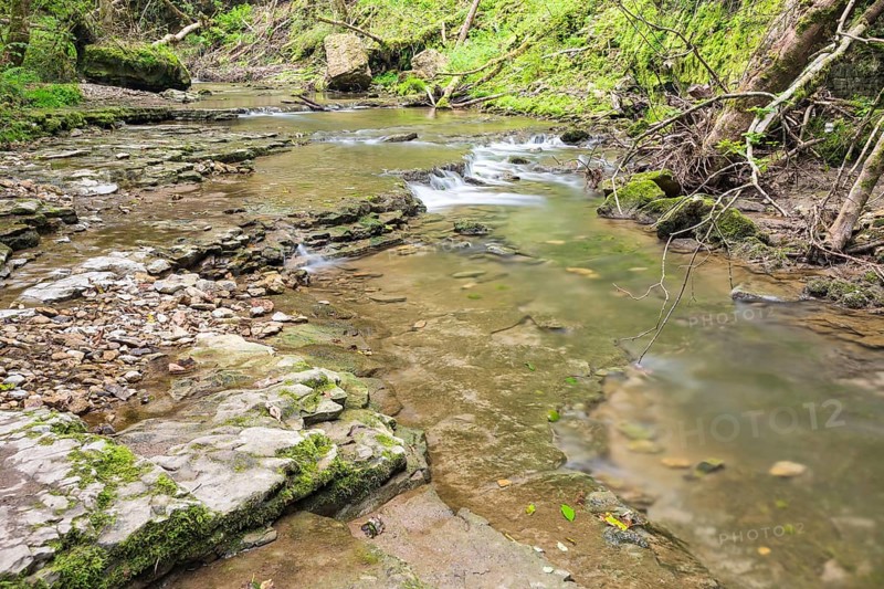 Hiking trail over shell limestone banks on the Gauchach