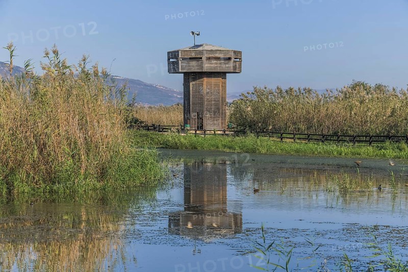 Observation tower