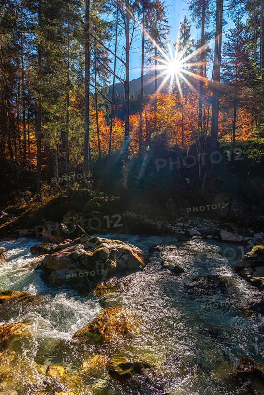 Autumn atmosphere in the magic forest