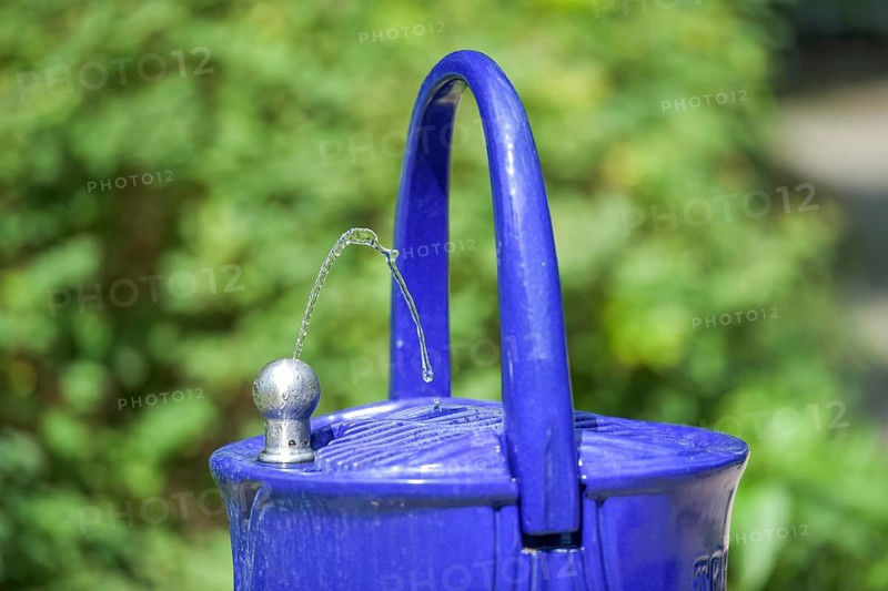 Water dispenser