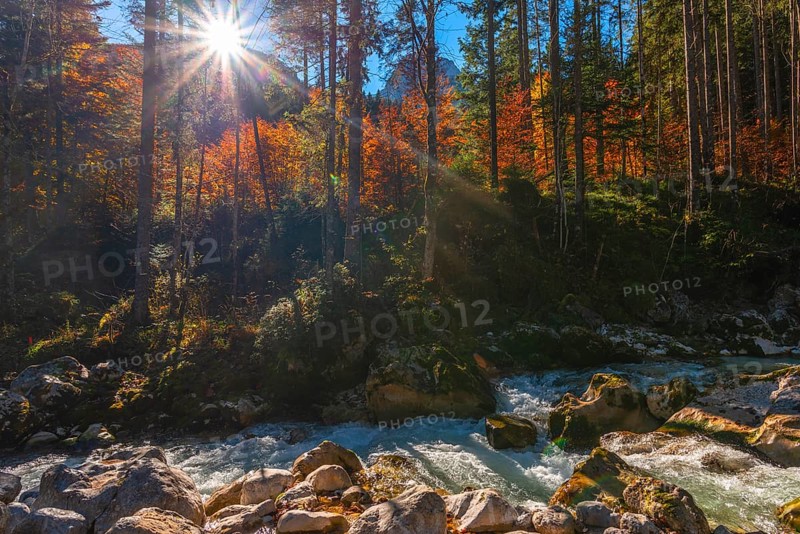 Autumn atmosphere in the magic forest