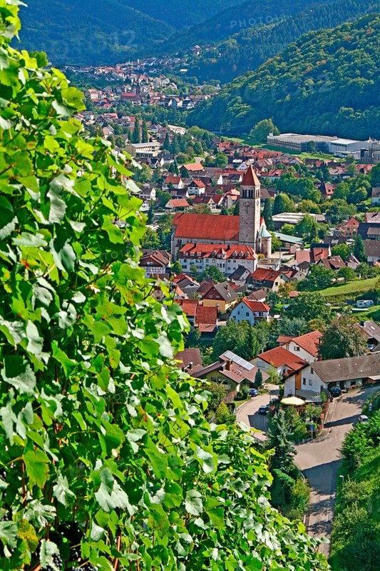 View of Obertsrot and the Sacred Heart Church from the Eberstein Castle Winery