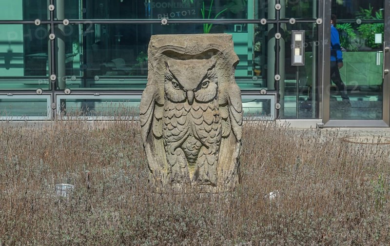 Ullstein Owl