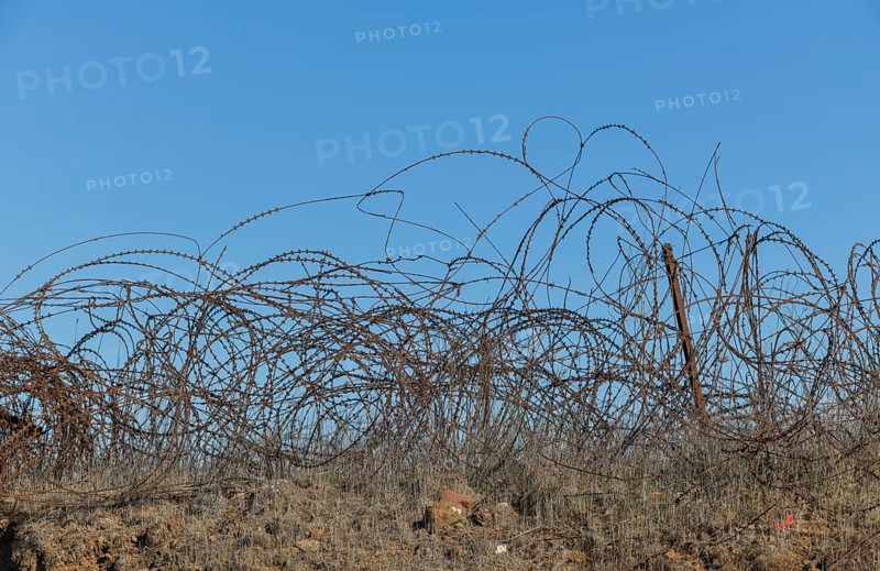 Barbed wire