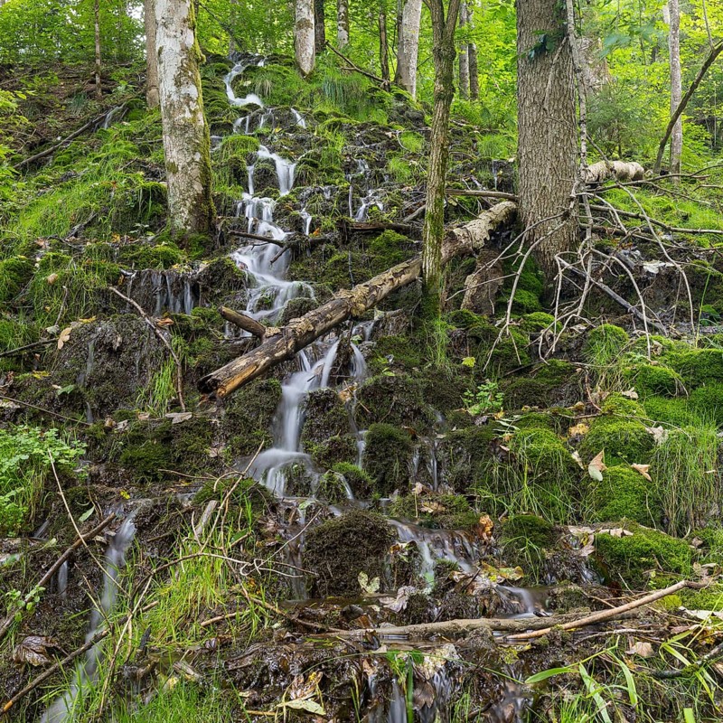 Small waterfalls on a wooded slope of the Wutach near the Schattenmuehle
