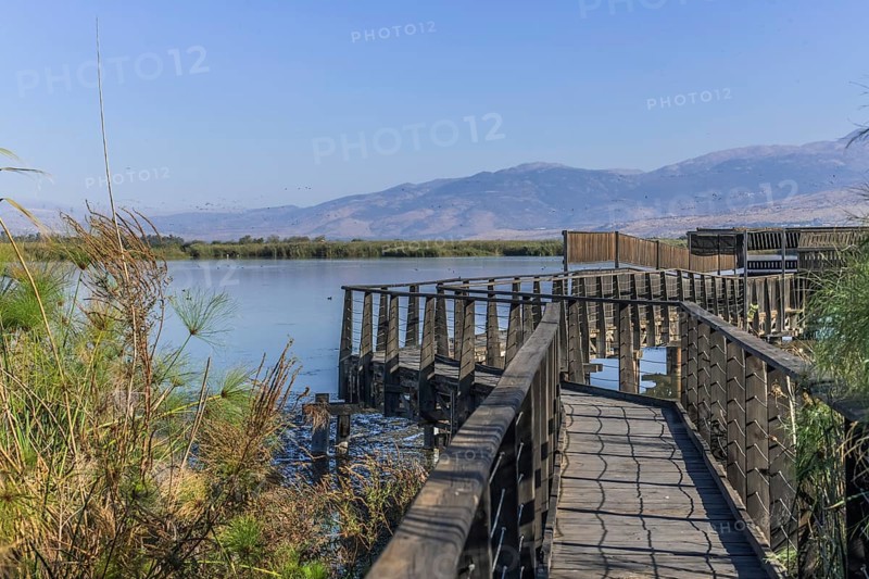Boardwalks for bird watching