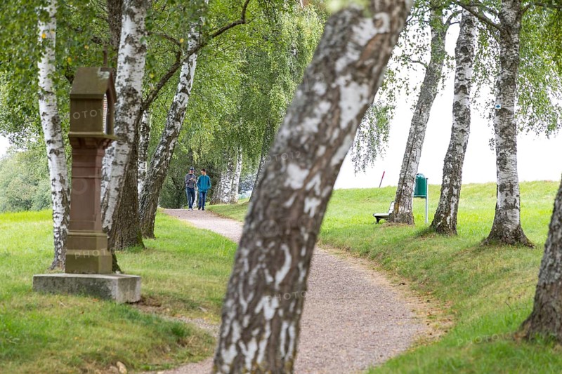 Birch avenue as a crossroads in Loeffingen