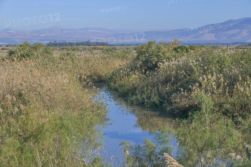 Marshes