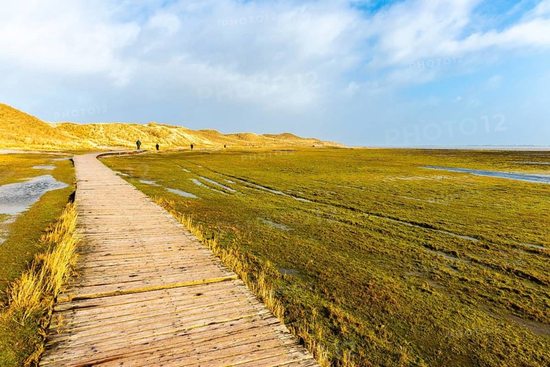 Boardwalk to Amrum Odde