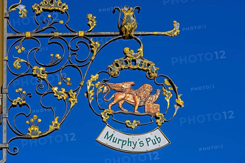 Nose shield with winged lion