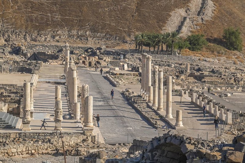 Palladius Street