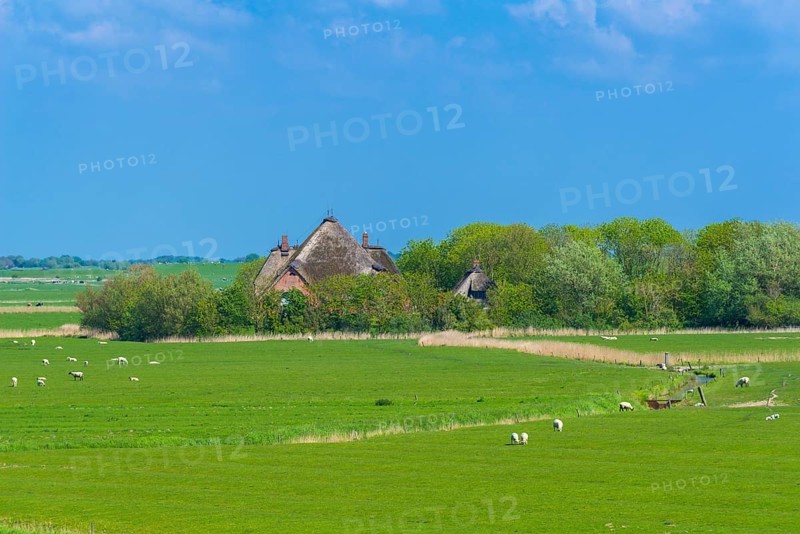 Wind-protected Haubarg