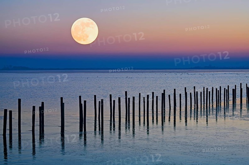 Moonrise in wintry landscape on the shore of Lake Duemmer