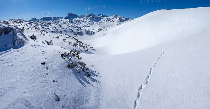 Winter landscape in the snowy Alps
