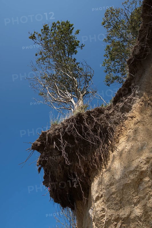 Endangered cliff edge on the island of Poel near Timmendorf
