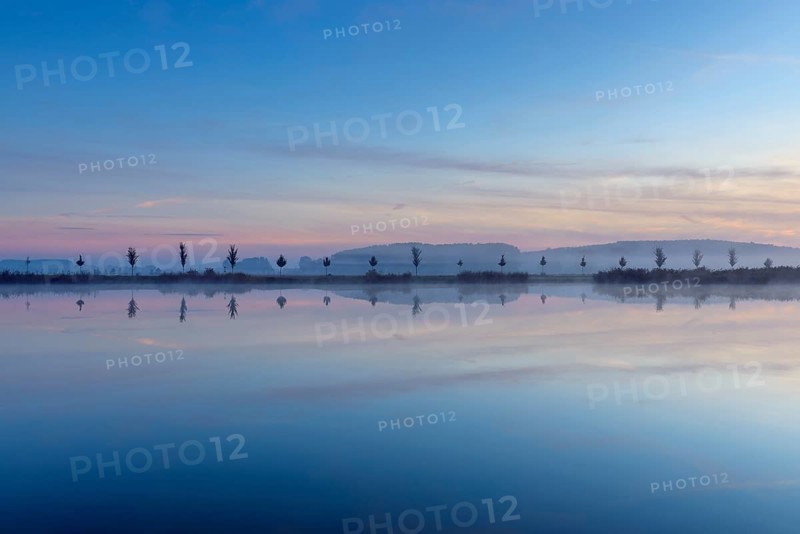 Landscape with Row of Trees Reflecting in Lake at Dawn
