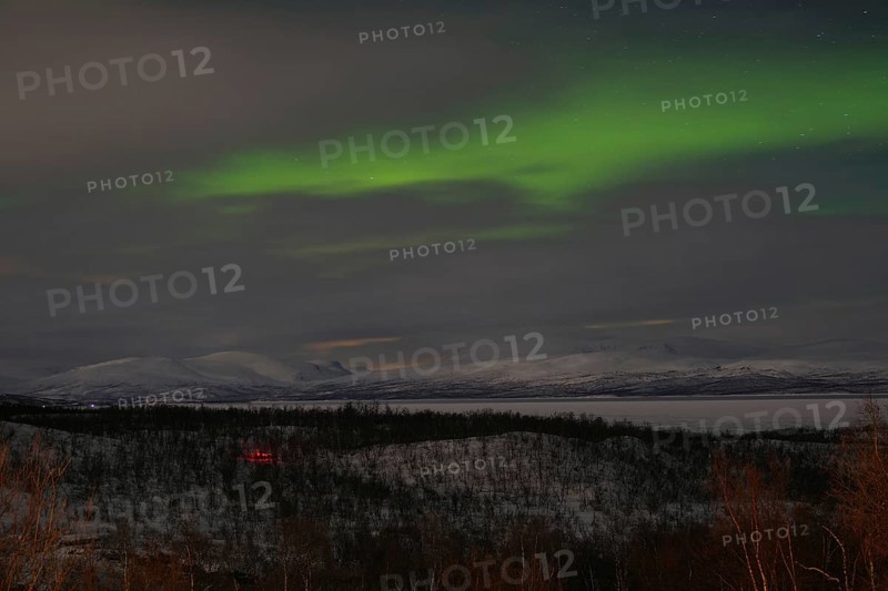 Aurora borealis over snow-covered mountains and birch trees