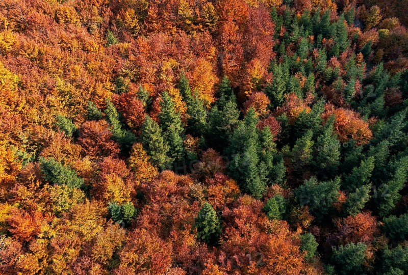 Drone image