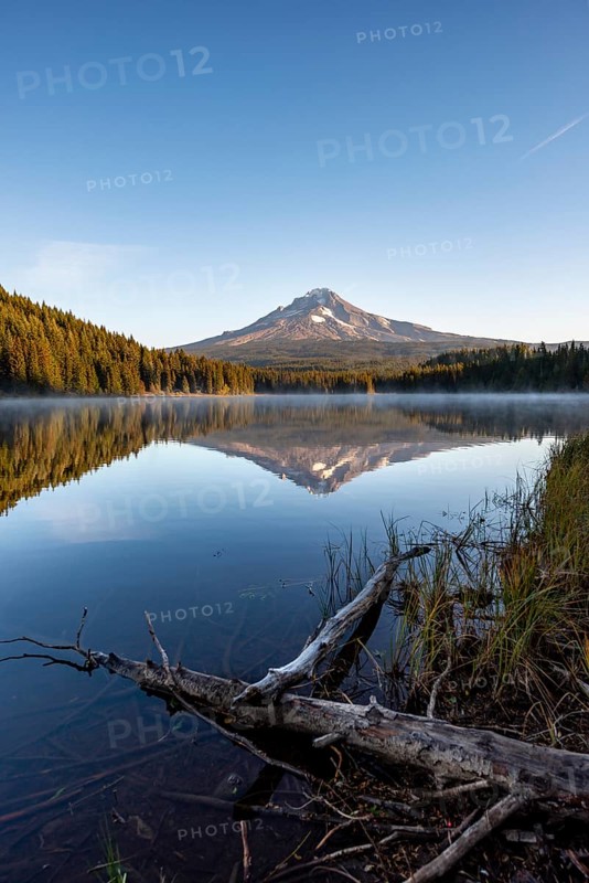 Lake shore