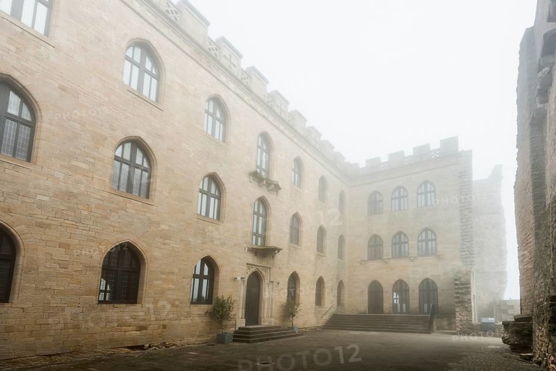 Hambach Castle in the fog