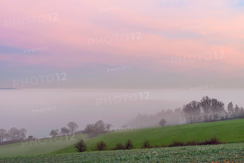 Countryside at Dawn with Morning Mist