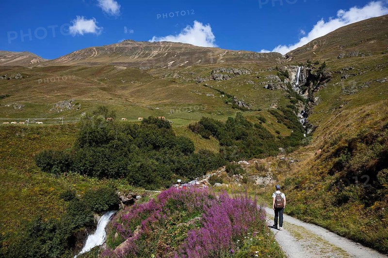 Hikers walking on the alpine pastures in the Rofental