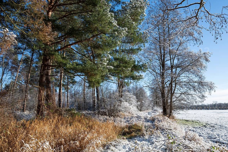 Snow