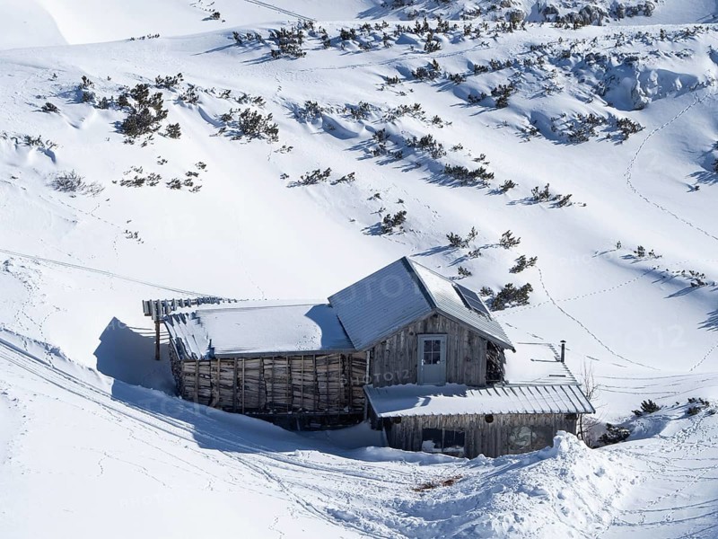Winter landscape